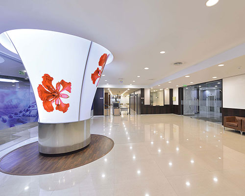 TCS - 3d Stretch Ceiling Translucent with Backlighting in Corporate - Corporate - Noida